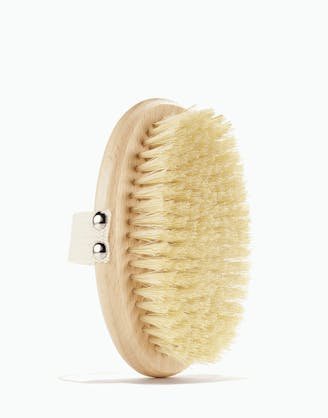 Brosse corporelle à base de plantes