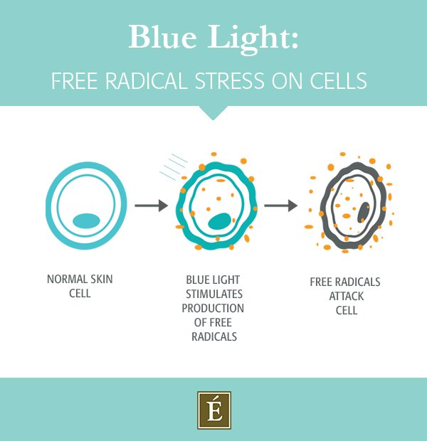 Infographie des radicaux libres stimulés par la lumière bleue attaquant une cellule cutanée