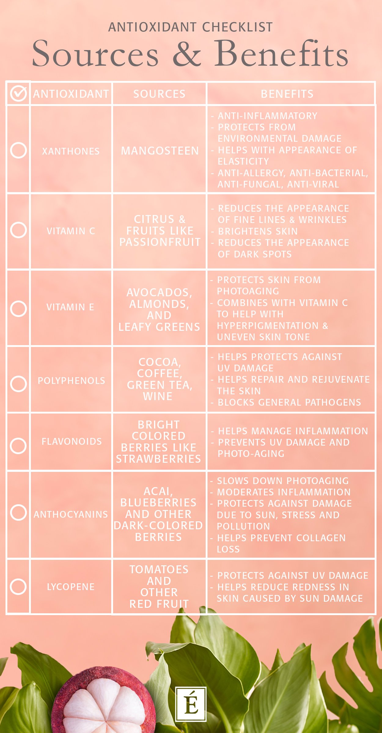 Infographie sur les sources et les avantages des antioxydants