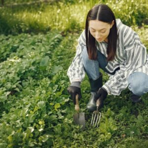 Comment transformer un potager en jardin avec les plus beaux légumes