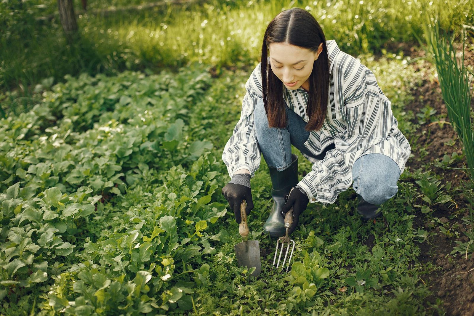 Comment transformer un potager en jardin avec les plus beaux légumes