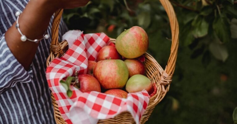 Fruits d’automne, lesquels prendre pour renforcer les défenses et éviter les rhumes