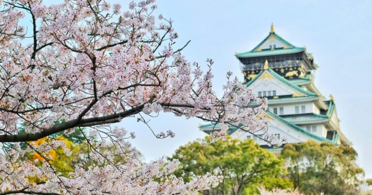 Le parfum d’automne d’inspiration japonaise qui sent bon les fleurs de cerisier