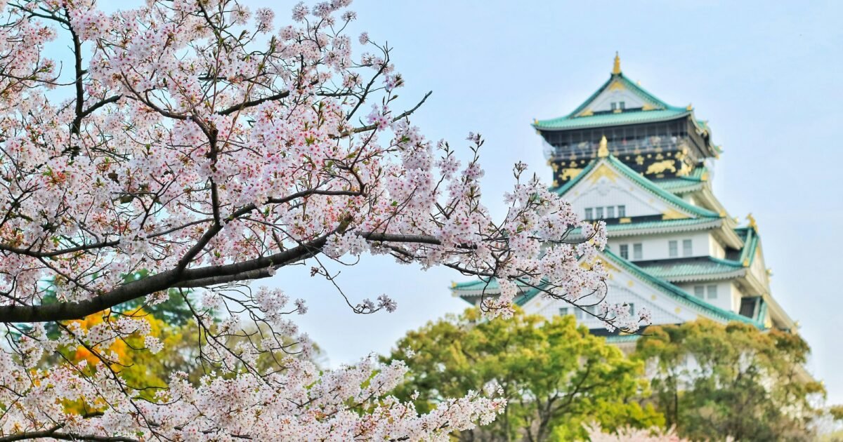 Le parfum d'automne d'inspiration japonaise qui sent bon les fleurs de cerisier